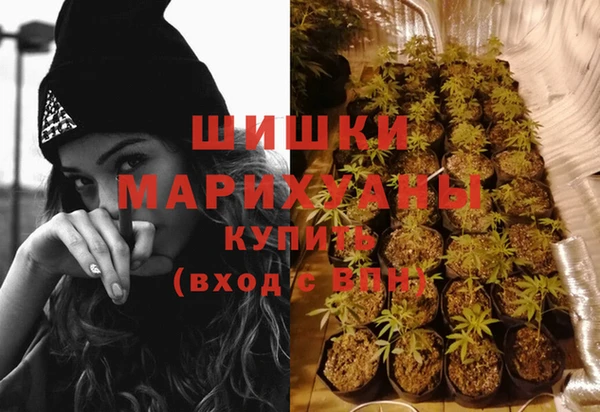 гидра Бронницы