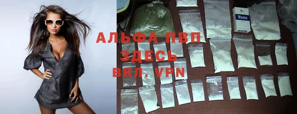гидра Бронницы