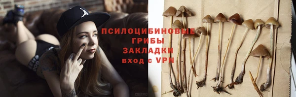 гидра Бронницы