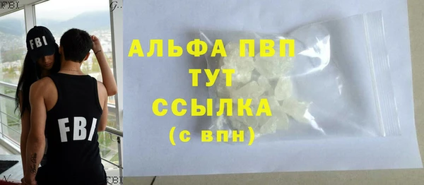прущий лед Бородино