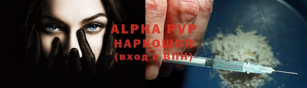прущий лед Бородино