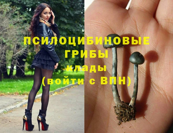 прущий лед Бородино