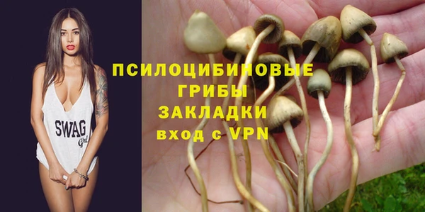 гидра Бронницы