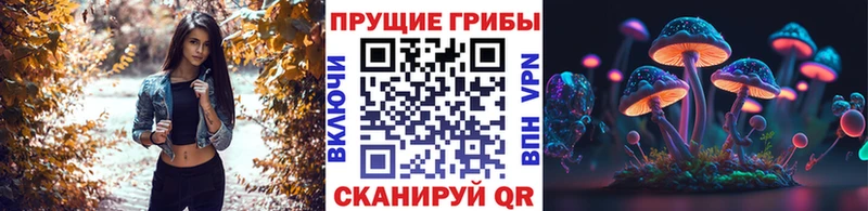Псилоцибиновые грибы ЛСД  Купить закладки  Екатеринбург 